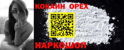 индика Кандалакша