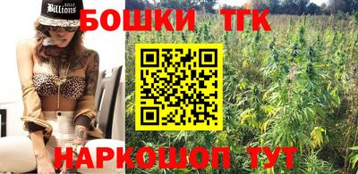 индика Кандалакша
