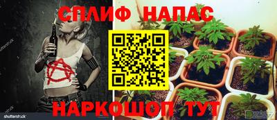 индика Кандалакша