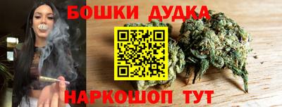 индика Кандалакша